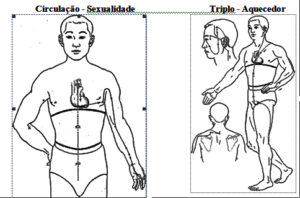 Programa 19 09 22 – Os Meridianos e Suas Funções – Como Mante- los Sadios – Sentindo o Meridiano do Pulmão e Alongamento dos Meridianos Circulação Sexualidade e Triplo Aquecedor